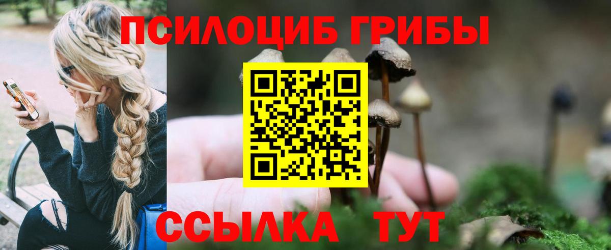 Псилоцибиновые грибы мухоморы Черногорск