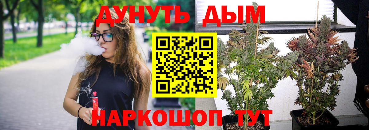 Канабис планчик  Вход с VPN  МАРИХУАНА сатива  Черногорск  Марихуана MAZAR 
